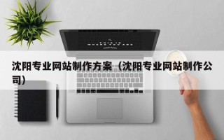 临沧沈阳专业网站制作方案（沈阳专业网站制作公司）